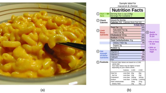 Mac & cheese nutrition facts