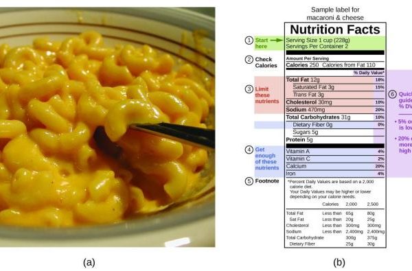 Mac n cheese nutrition