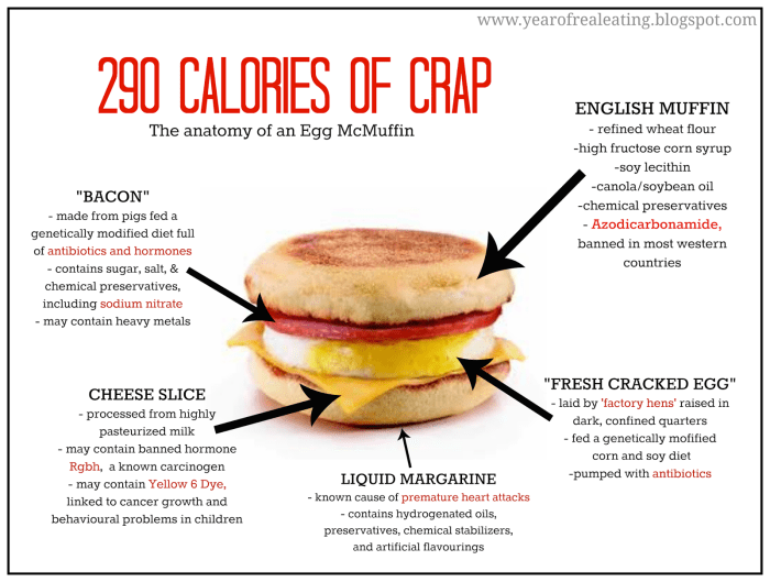 Egg and cheese mcmuffin nutrition